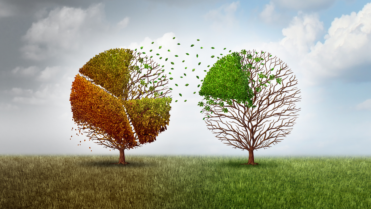 ESG outlook 2022: investors seek better disclosure for thematic investing