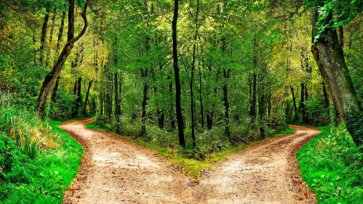 Asset owners divided on ESG approaches