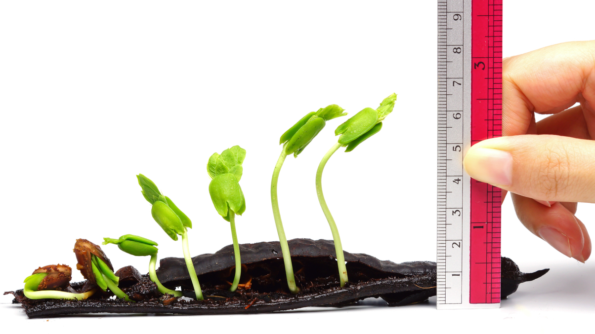 How NZ Super looks to measure its ESG impact