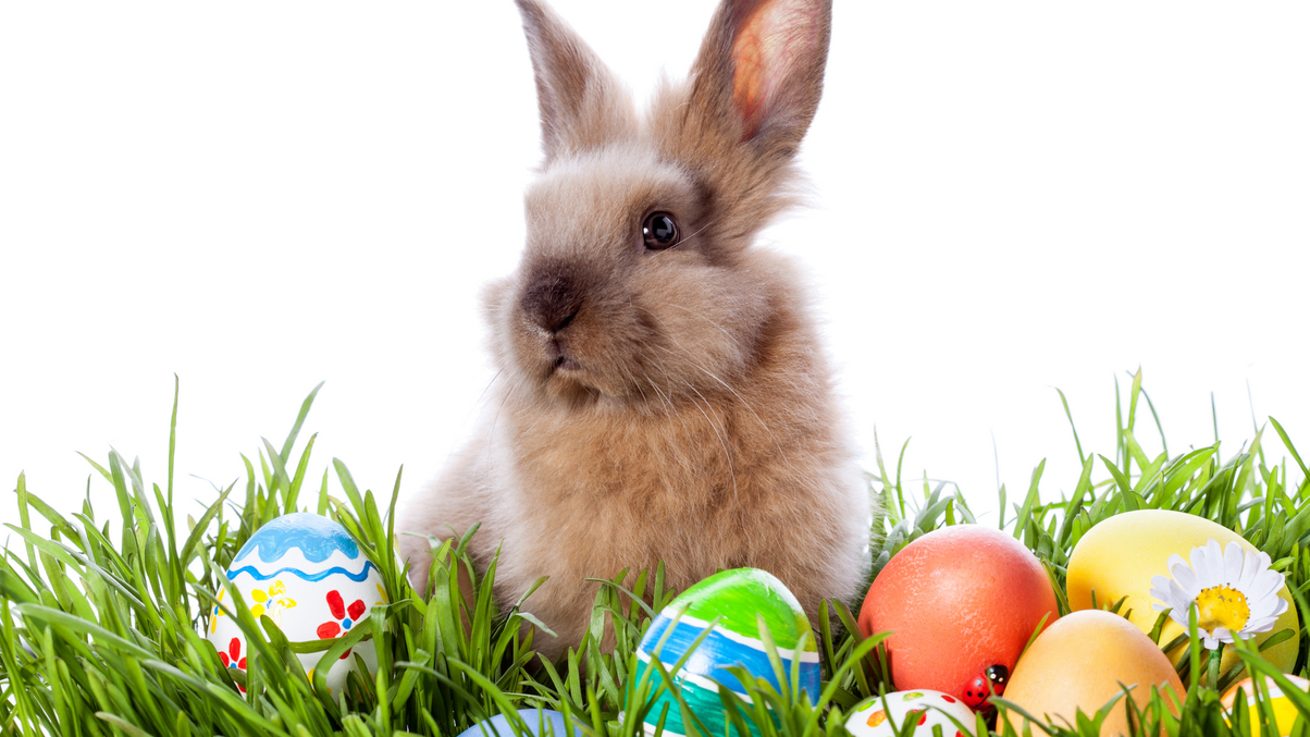 <i>AsianInvestor</i> will be back after the Easter holiday