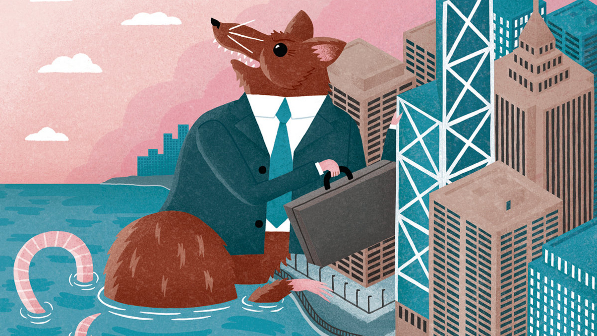 Stock Connect sparks worries over rat trading