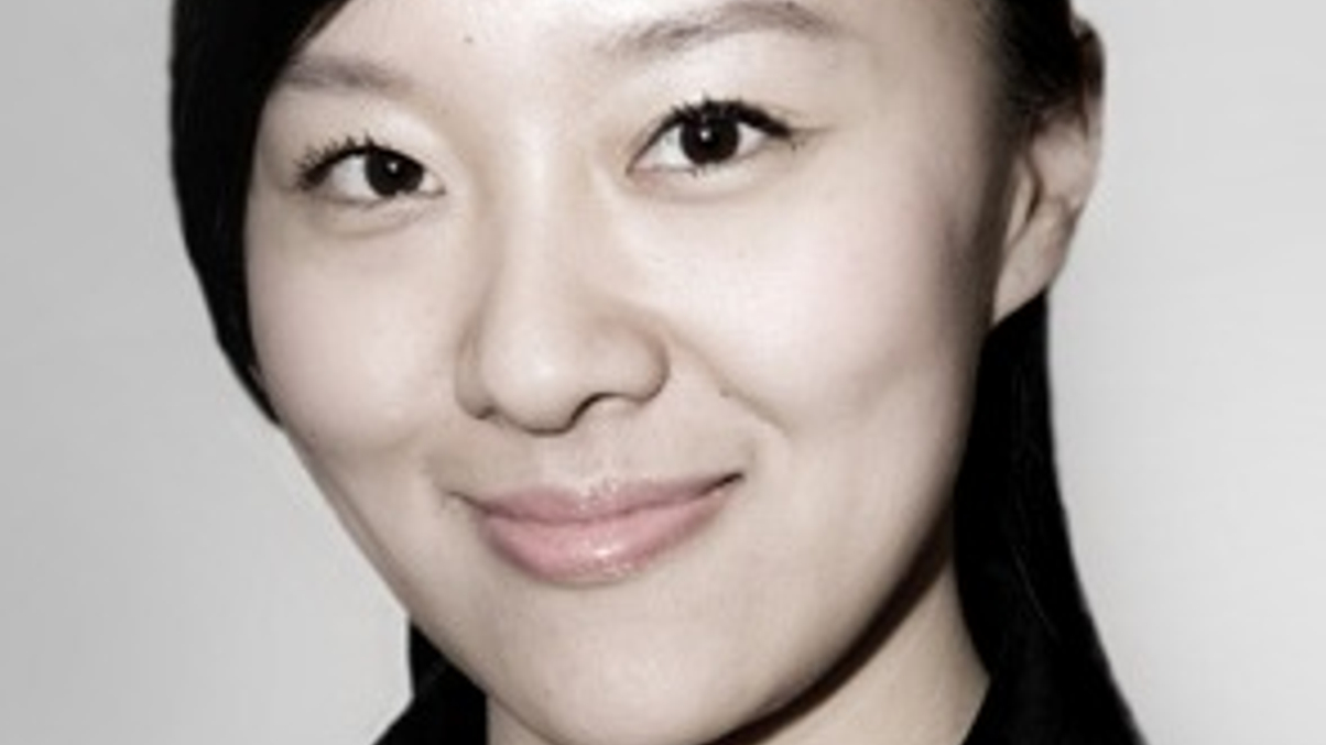China crackdown affecting WFOE applications