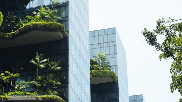 Selecting the winning themes in private equity