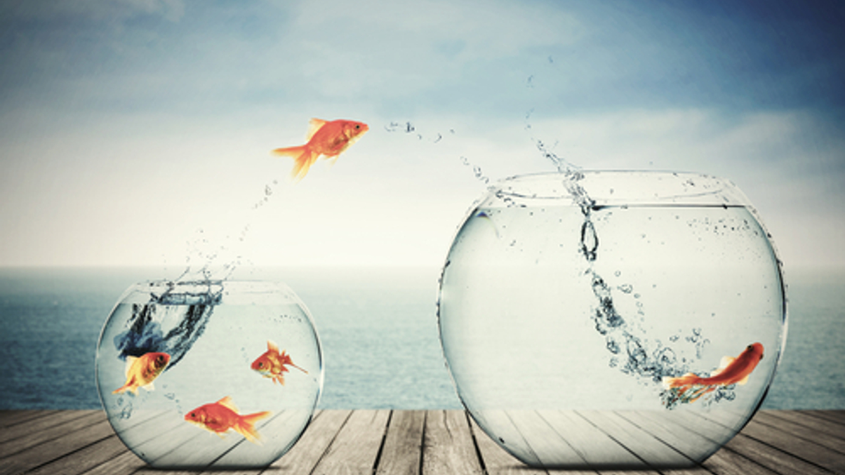 NCSSF tips big shift into index strategies in China