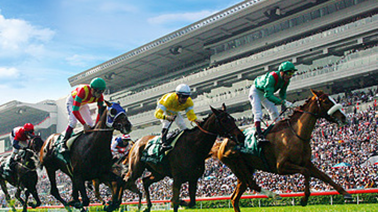 Which investments will perform best this year?