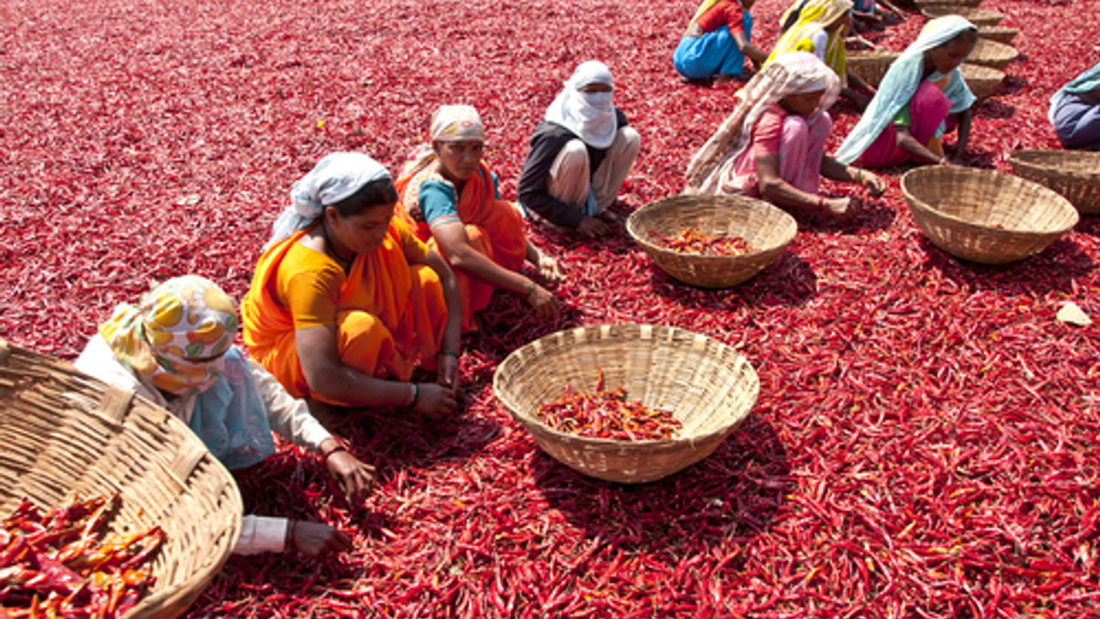 Red-hot Indian private equity lures family wealth