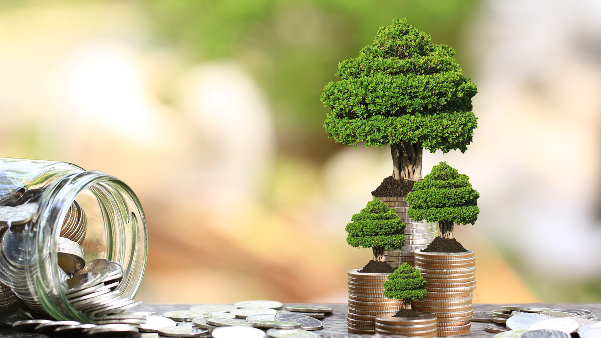 HKMA: Hong Kong a gateway for Chinese green bonds