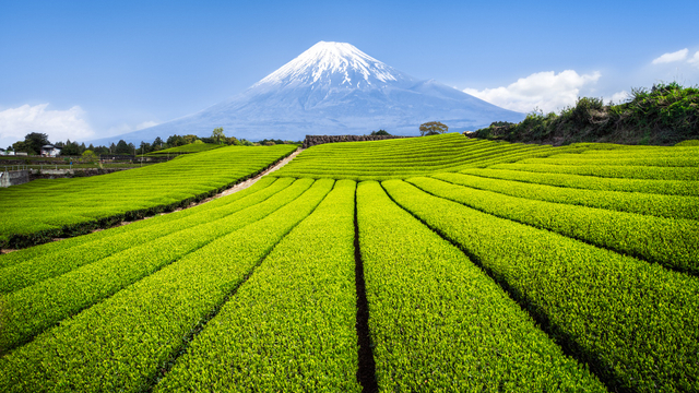 How Japan can advance its ESG development