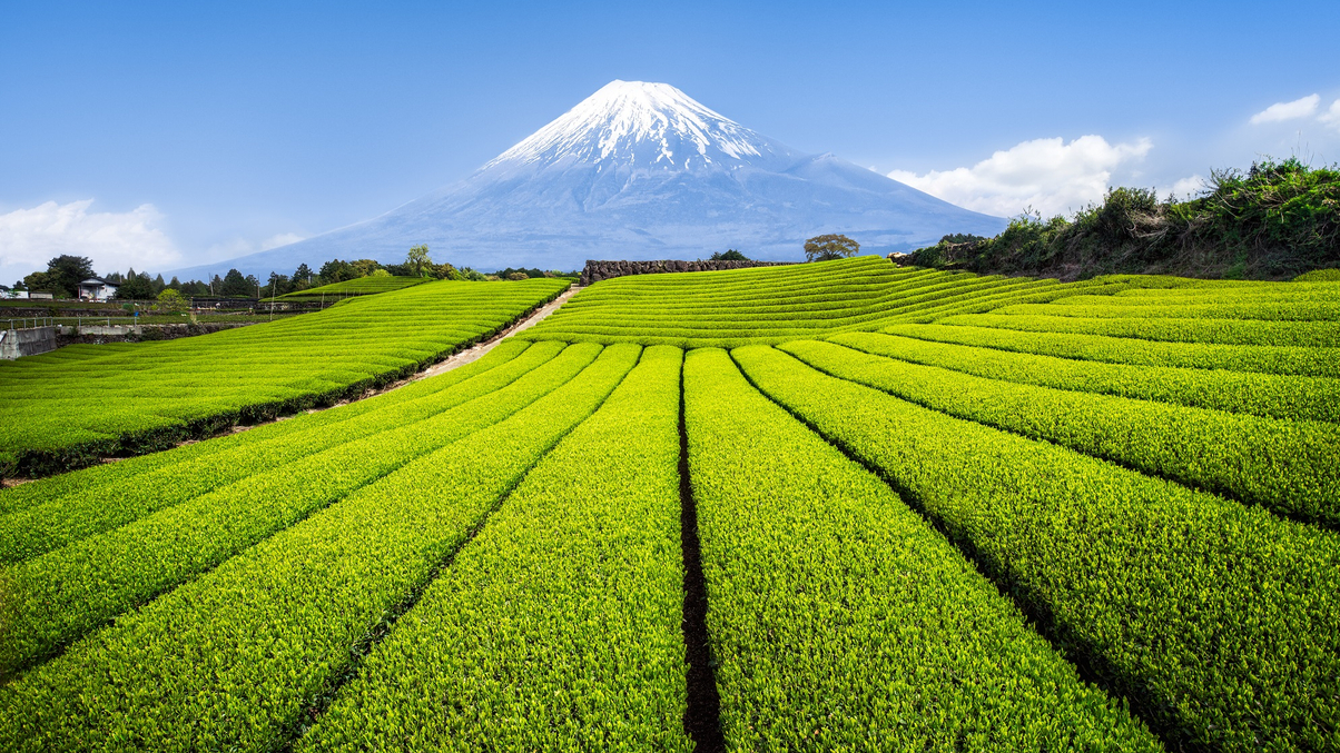 Nippon Life's PRI appointment boosts Japan’s ESG push
