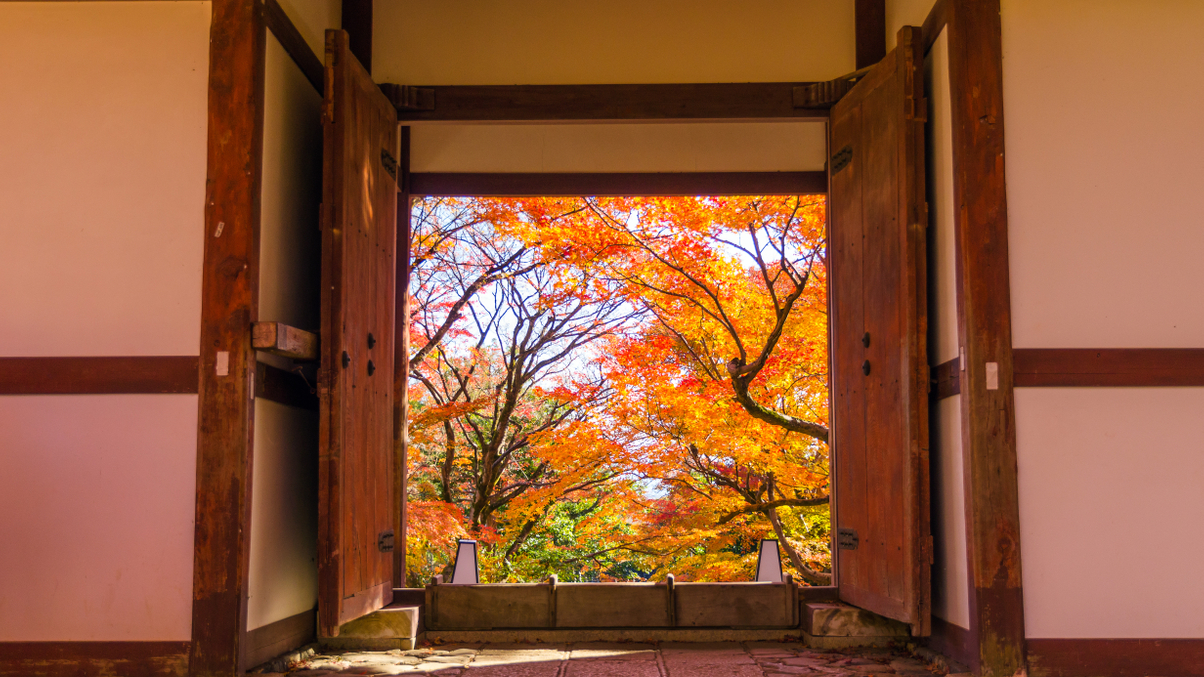 How Japan’s fiduciary code could open its fund industry