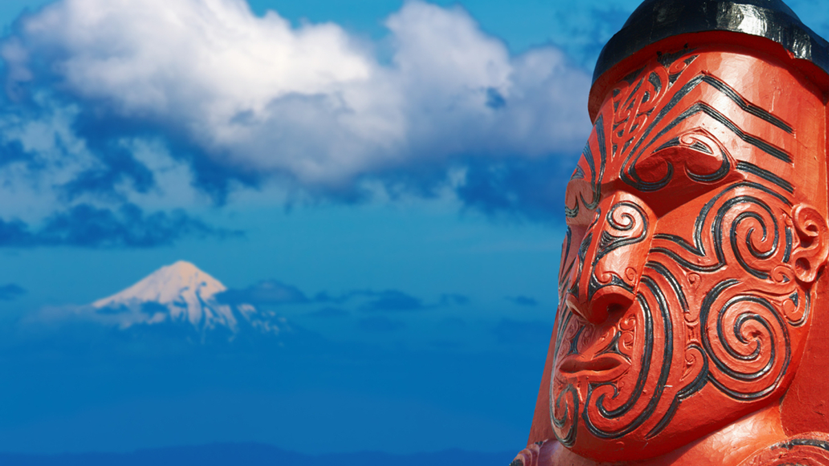 New Zealand Māori investment strategies revealed