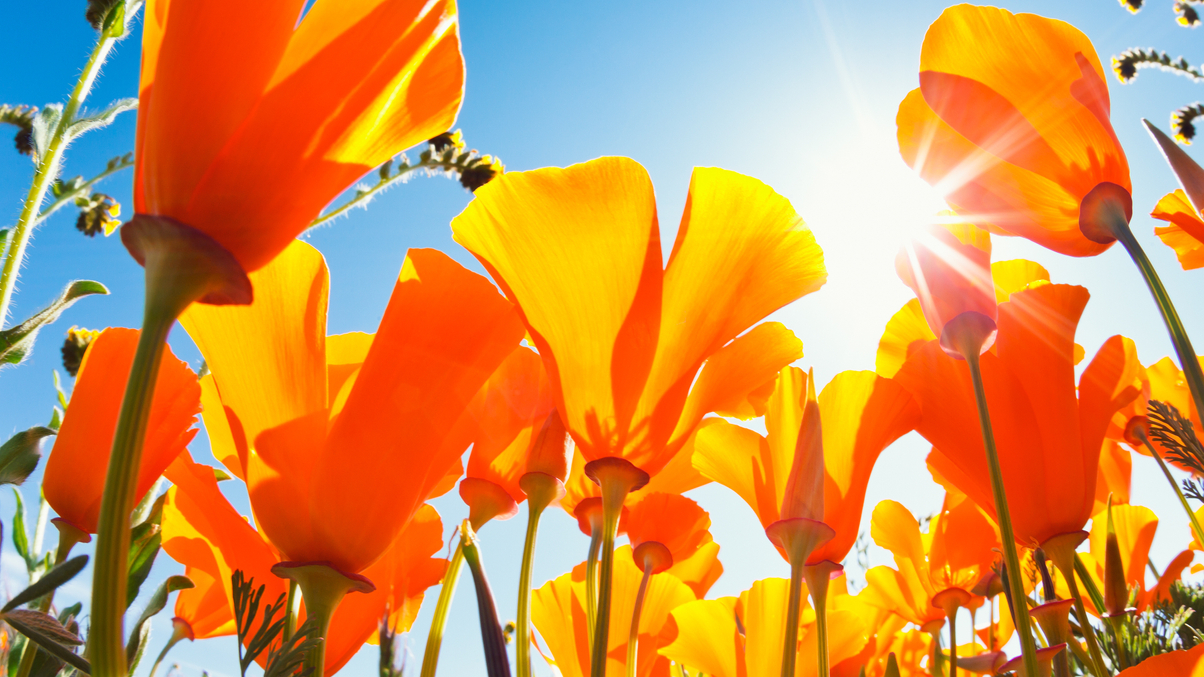 AsianInvestor will return after Labour Day