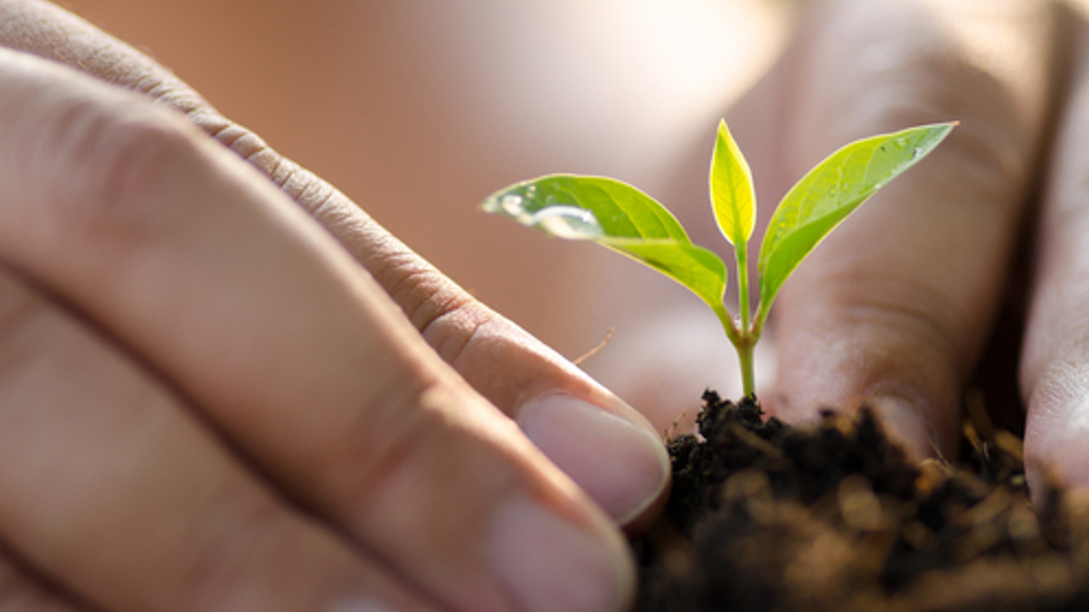 How EAMs can blossom into multi-family offices