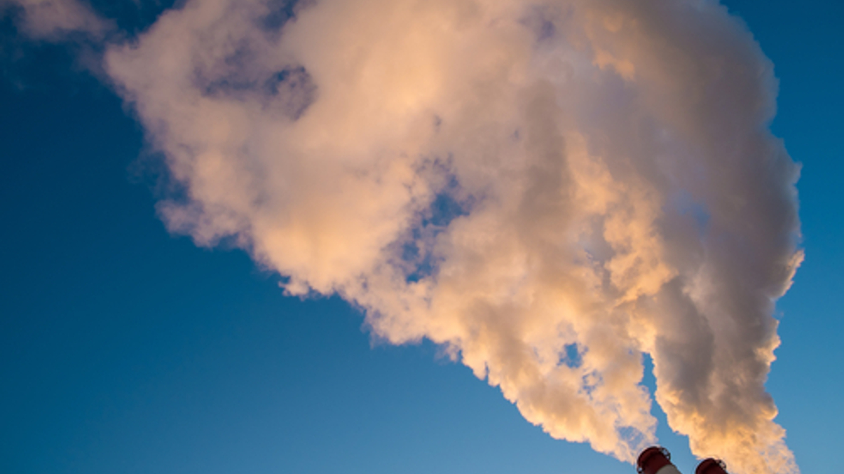 New Zealand Super: carbon risk is under-priced