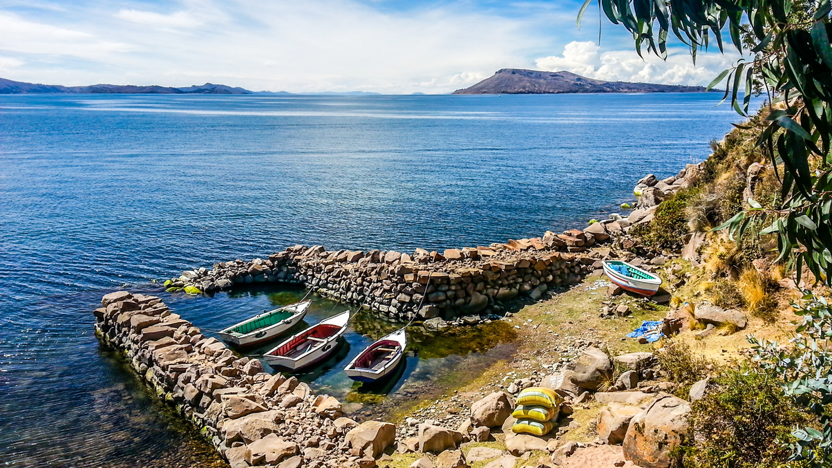 Early-stage sustainable ventures pay off despite ticket size and risks: family office Rumah Group