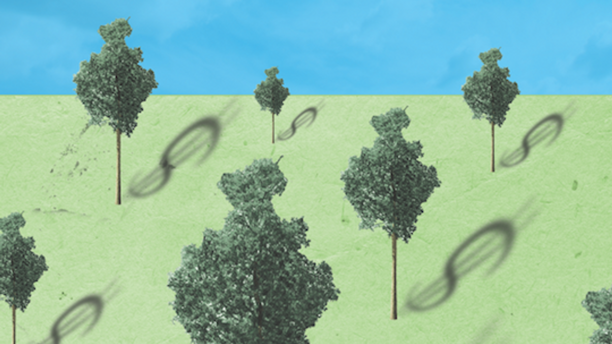 Investors keen to reap stable returns with agri investing