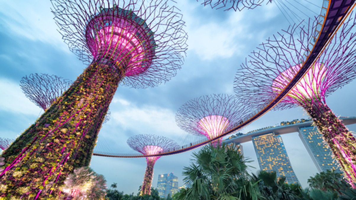 Cultivating a sustainable, carbon-free future