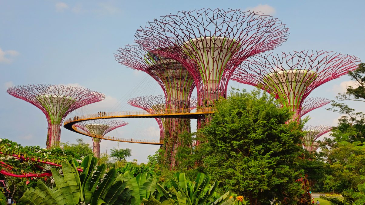 June’s most-read: MAS commits $1.8bn to climate portfolio; ETFs set to grow in Greater China; Omers’ Apac infrastructure plans