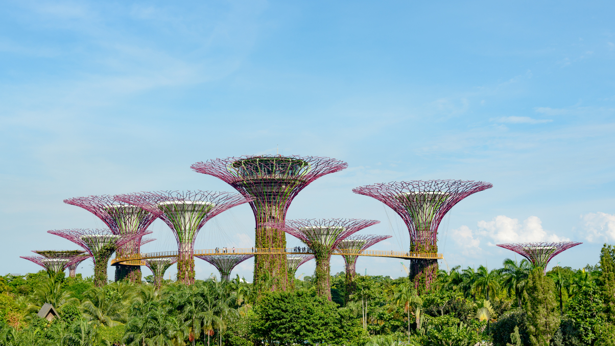 Singapore issues longest-tenor sovereign green bond