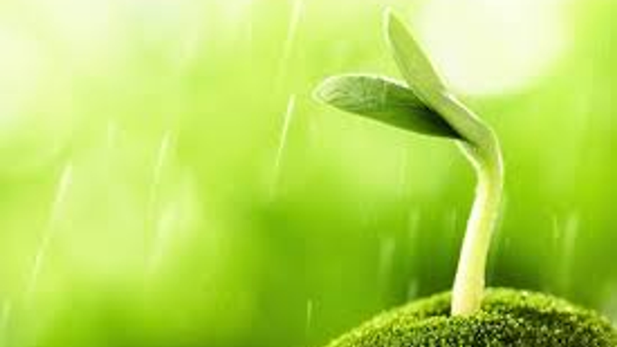 Investors seen favouring commodities as inflation hedge