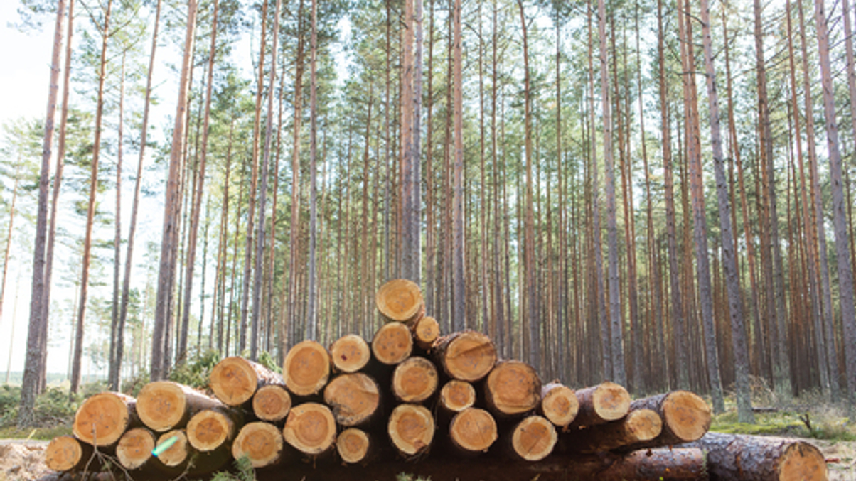 Property investors work to combat greenwashing allegations