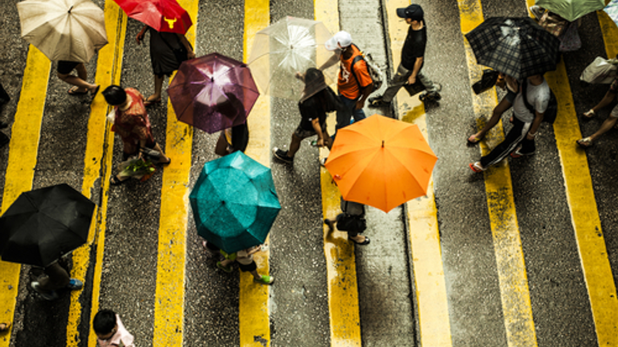 HK SFC asset management survey hints at crash fears