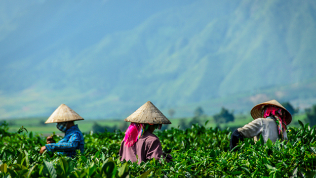Harvesting Asia income in a reflationary environment