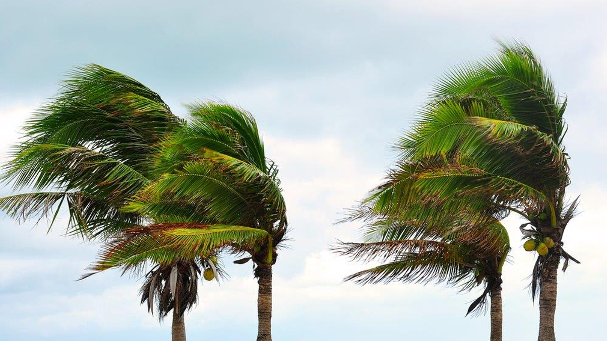 Tapering, typhoons top topics as Salt blows into Singapore