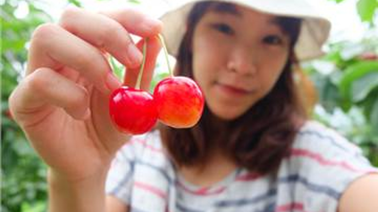 Cherry-picking Japanese private equity funds