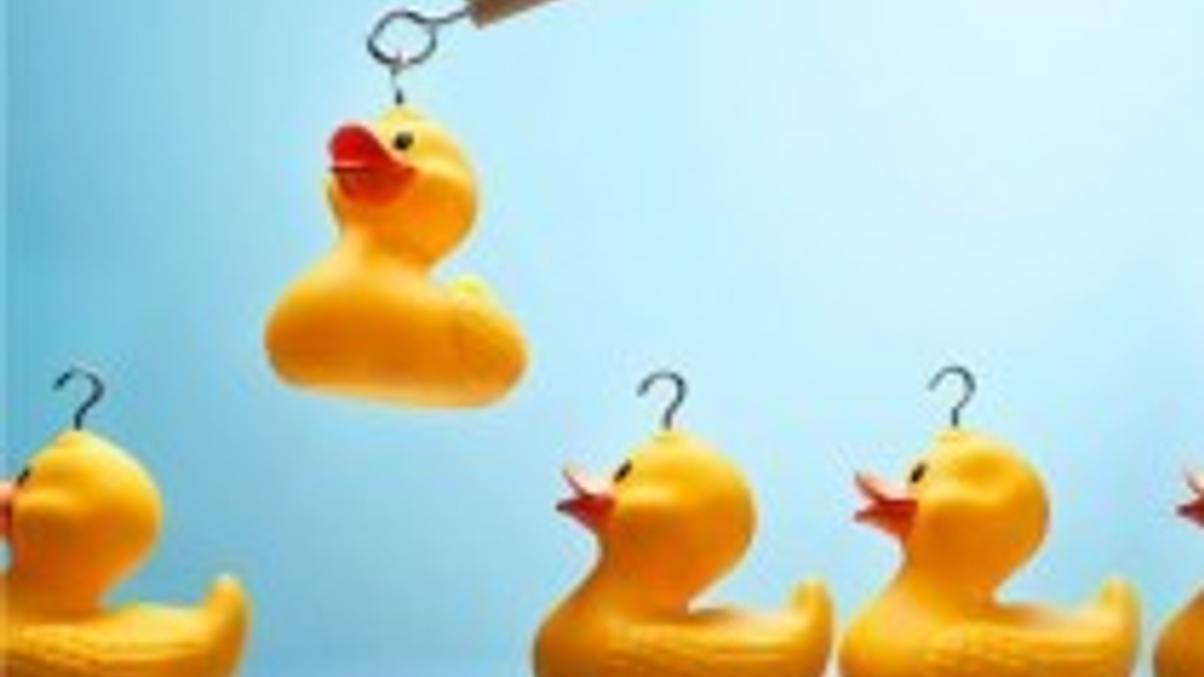 Ant Fortune president talks product selection