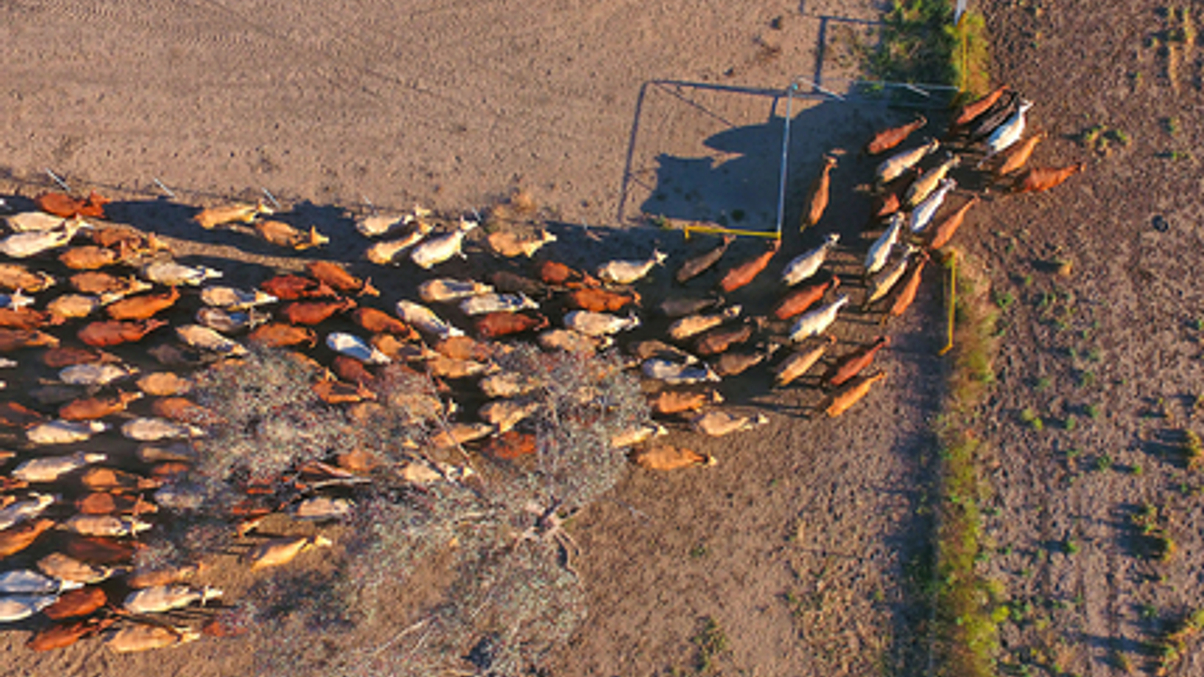 ETFs pose biggest systemic risk, says Bordier’s Goh