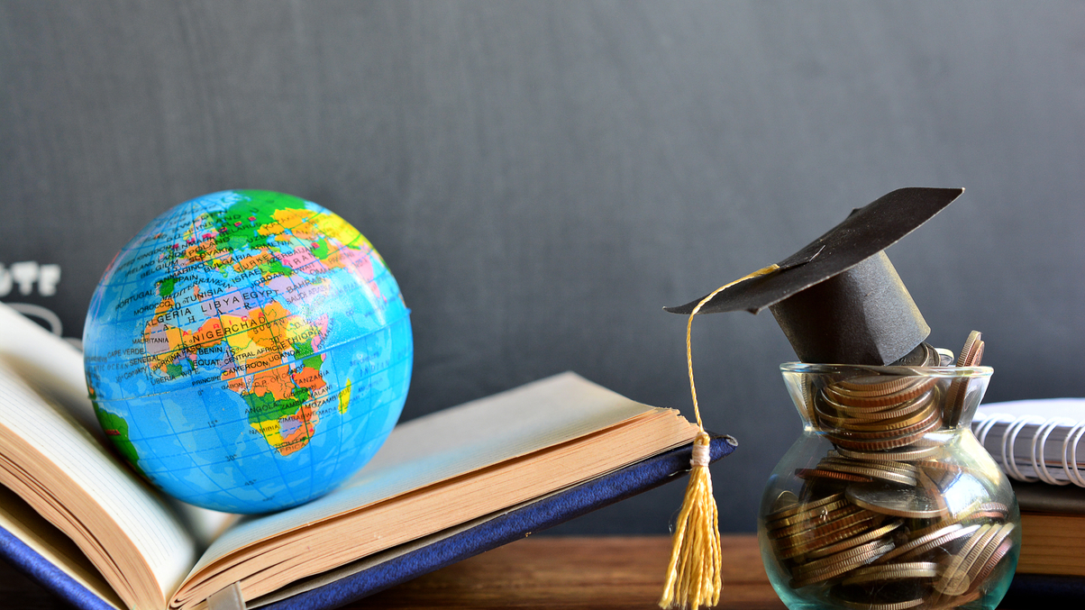 Should Japan’s consultants bone up on alternatives?