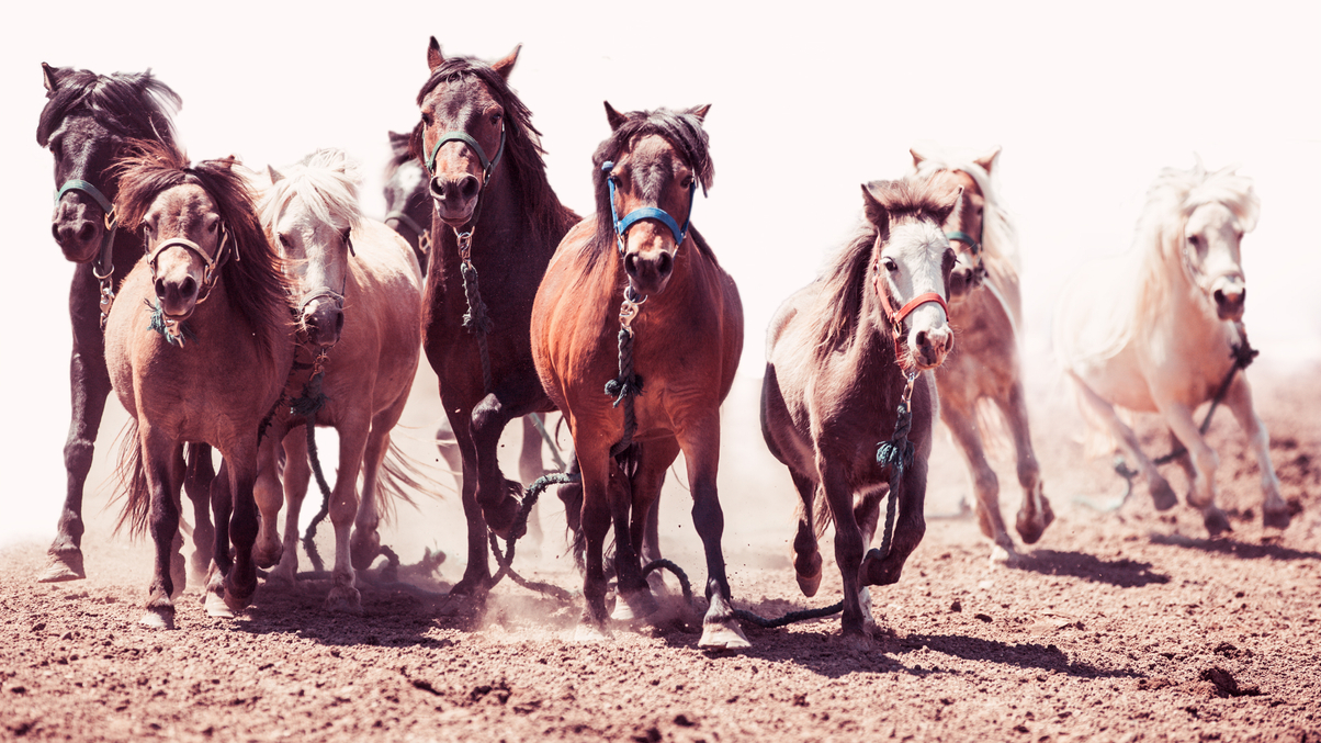 More Korean asset owners join alternative asset stampede