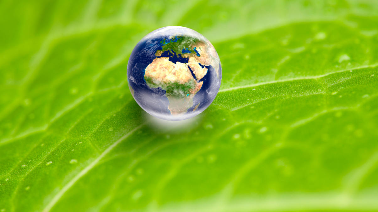 Plugging emerging markets’ green funding gap