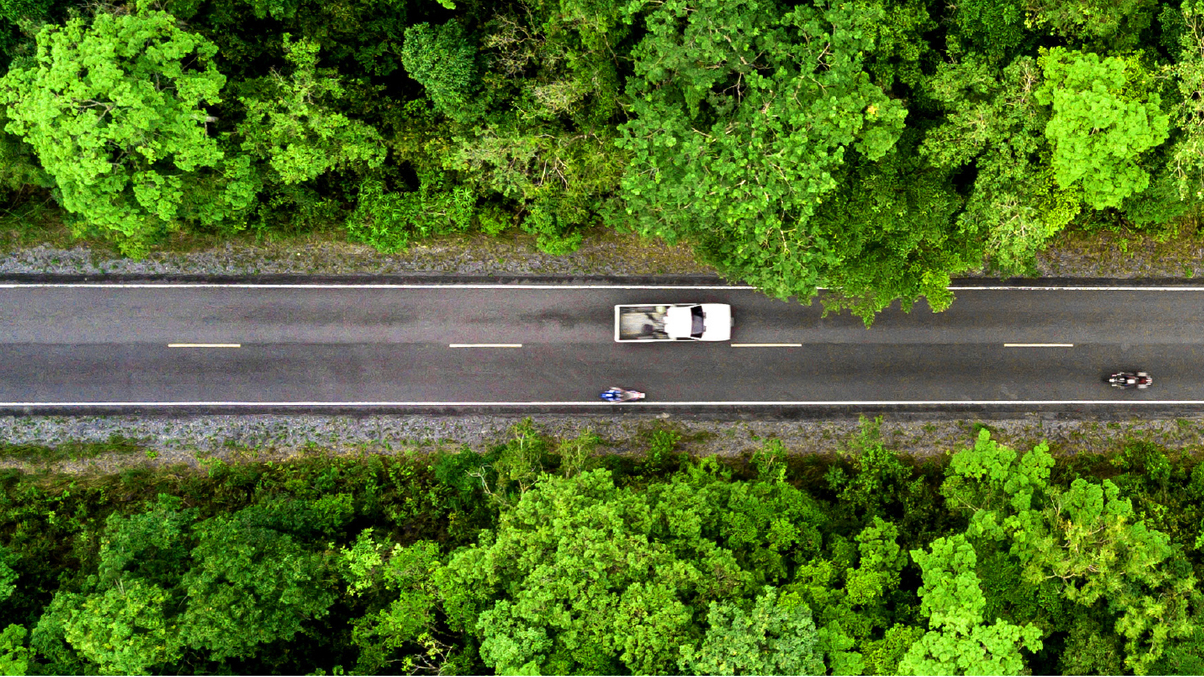 Investing in a greener future: How asset owners in Asia are raising the stakes to combat climate change