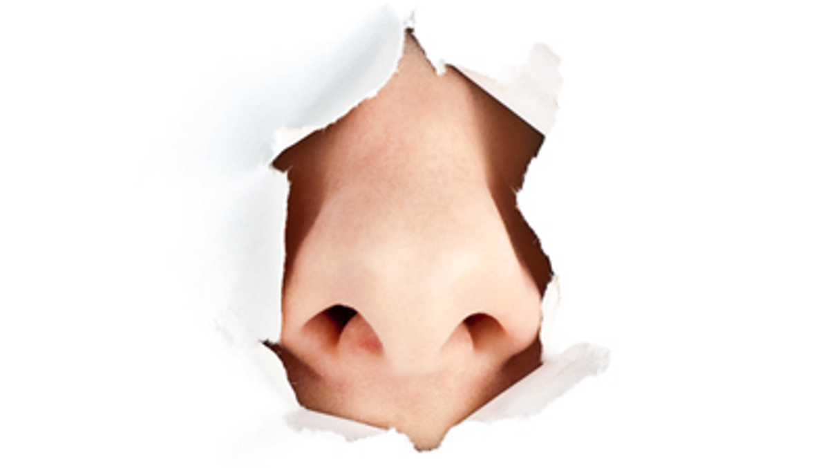 Asia hedge funds tally the damage