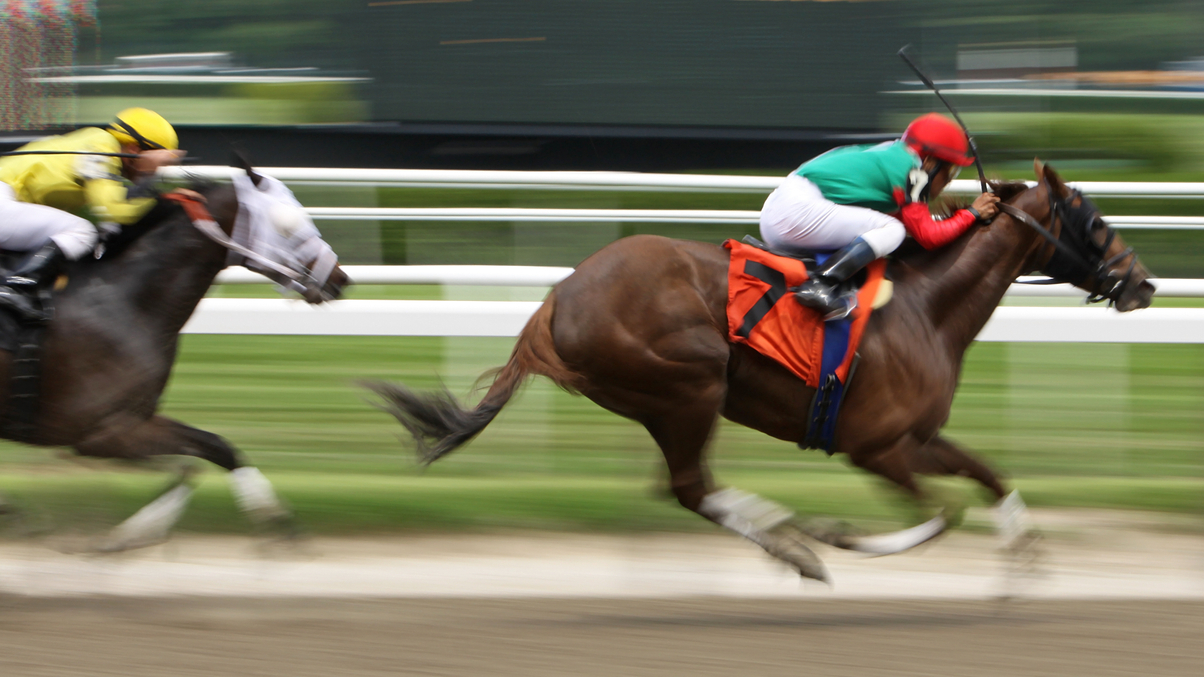 Year of the Pig outlook: Will bonds beat stocks?