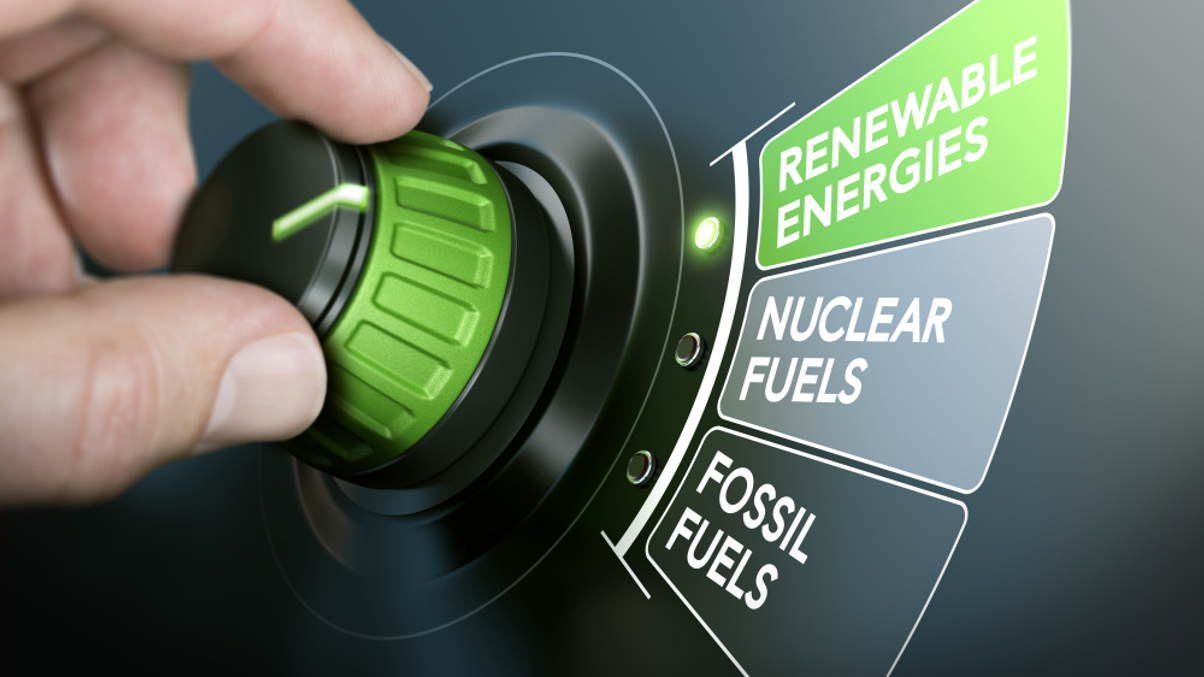 Renewable energy: Asset allocator momentum is building