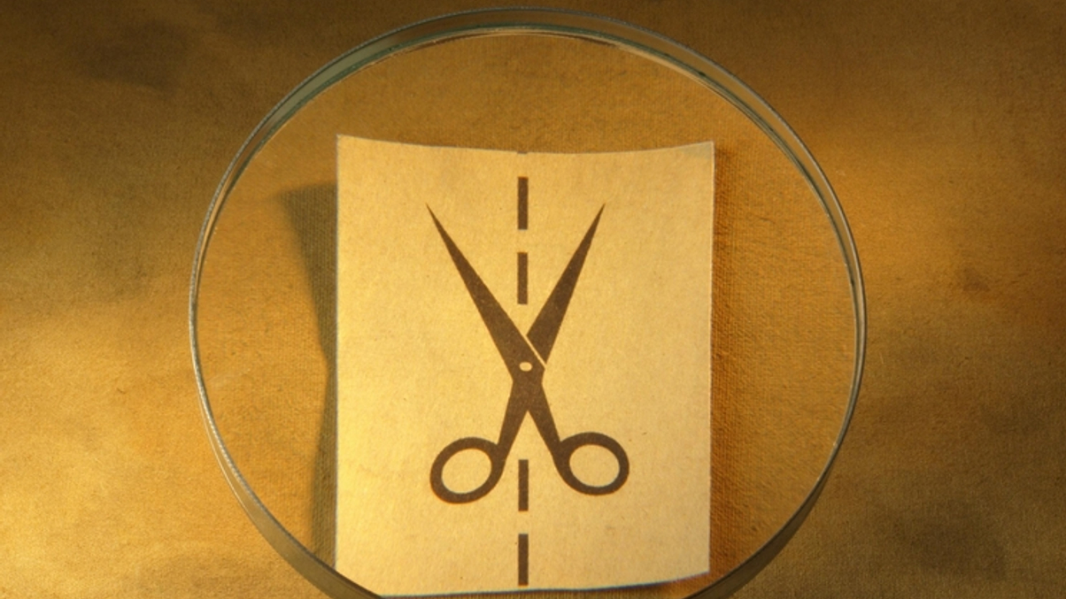 Asia's share of hedge fund assets shrinks