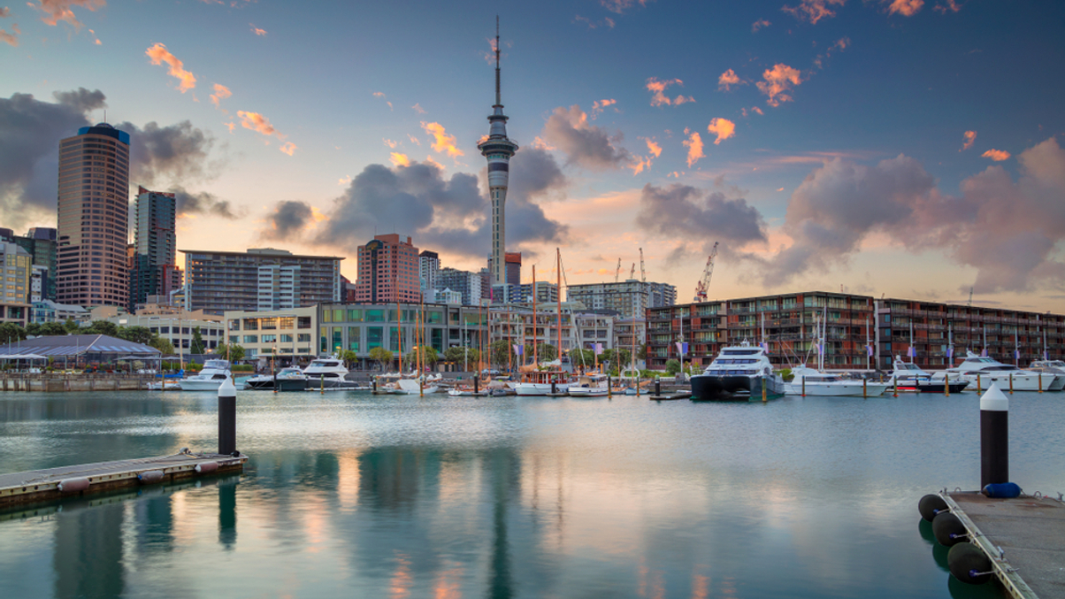 How NZ Super posted record year amid Covid market shock