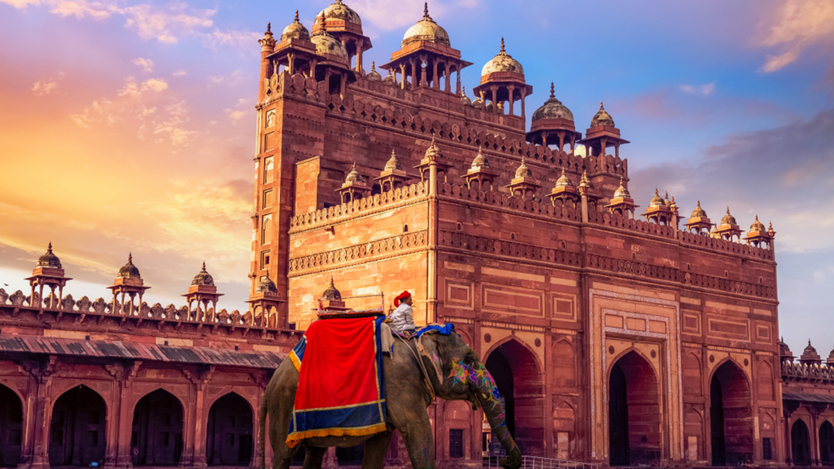 The Investor's Bookshelf: A CIO's guide to the 'world's biggest untapped opportunity'