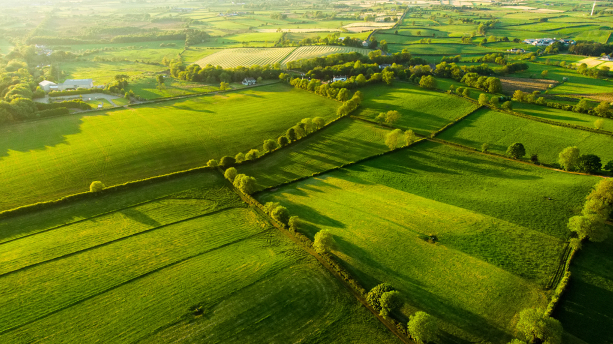 Making natural capital the norm for sustainable portfolios