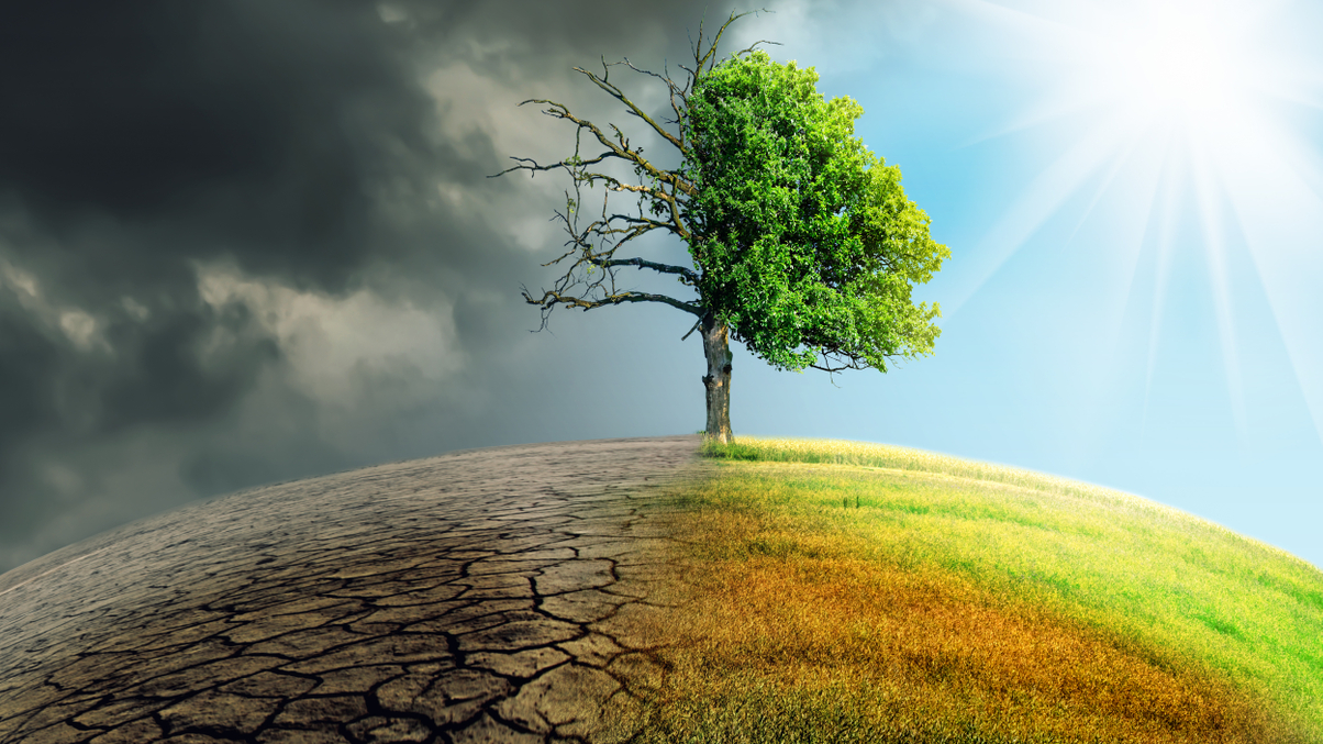 Lawmakers must enforce carbon targets, say Calpers and ex-GPIF CIO