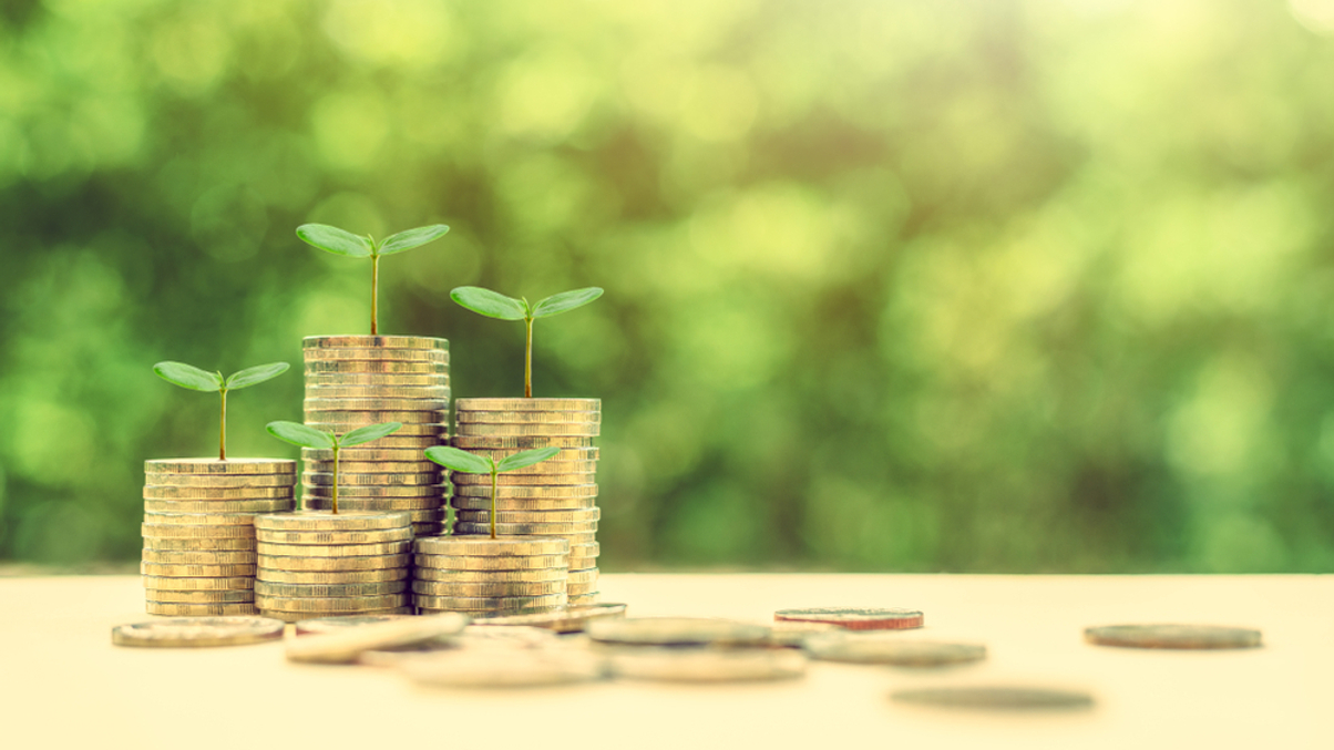 Private credit finds its place in Asia’s energy transition push