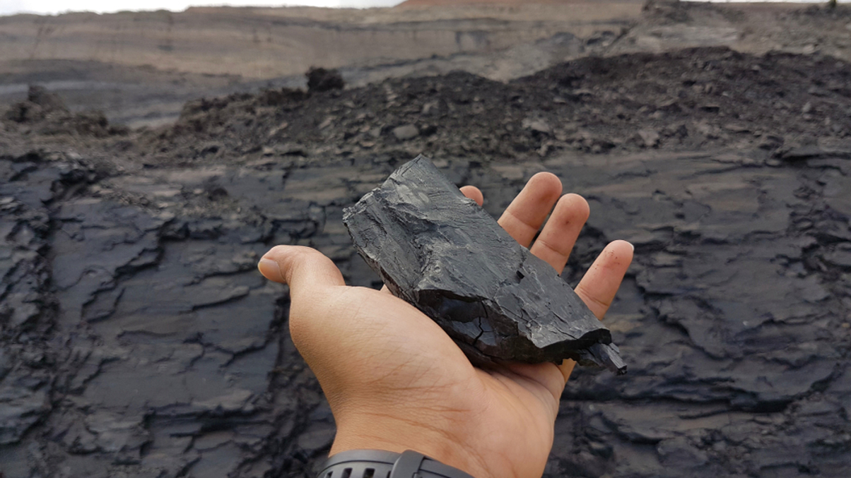 Asset owners flag social risks in route to 'just transition'