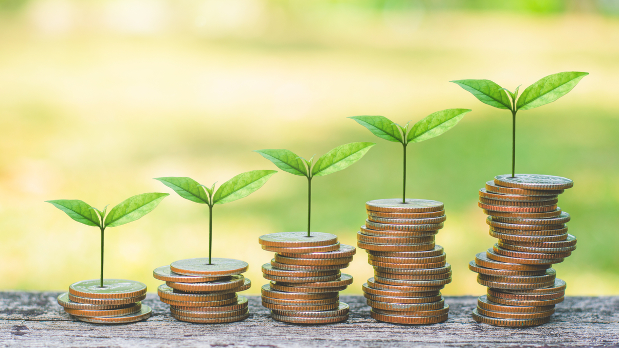 Sustainability strategies: when numbers alone don't tell the full story