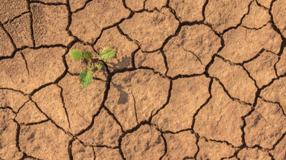 China’s drought underscores water crisis risks to investors