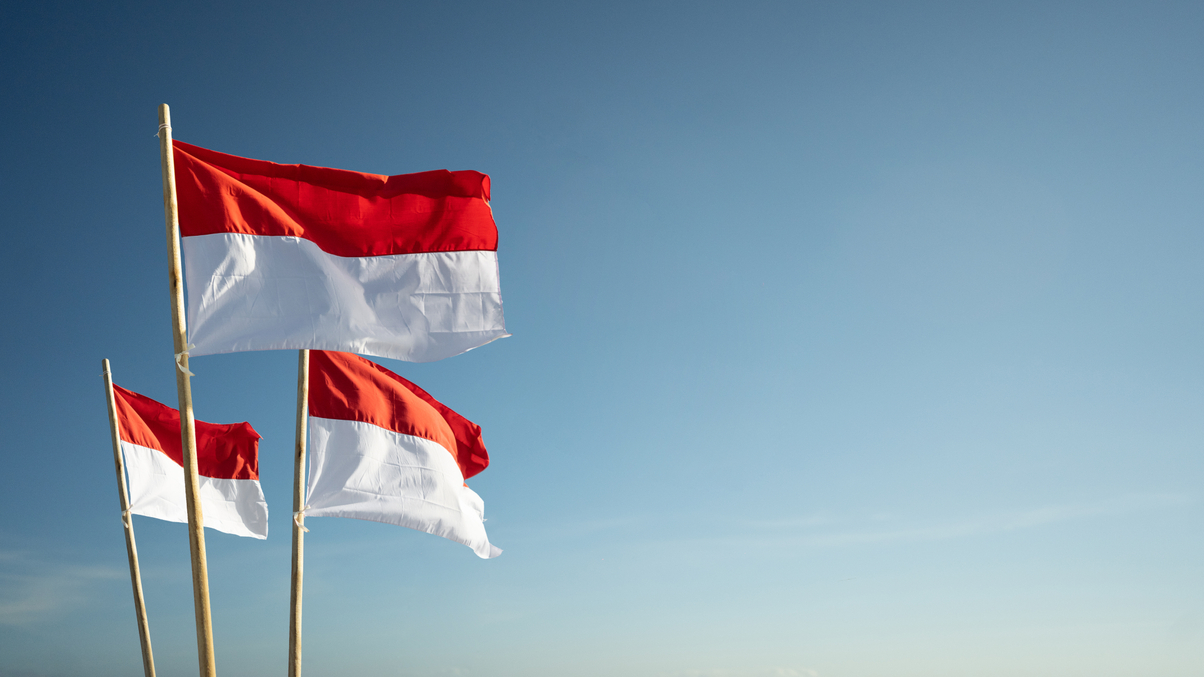 Indonesia Investment Authority seeks to grow co-investment commitments