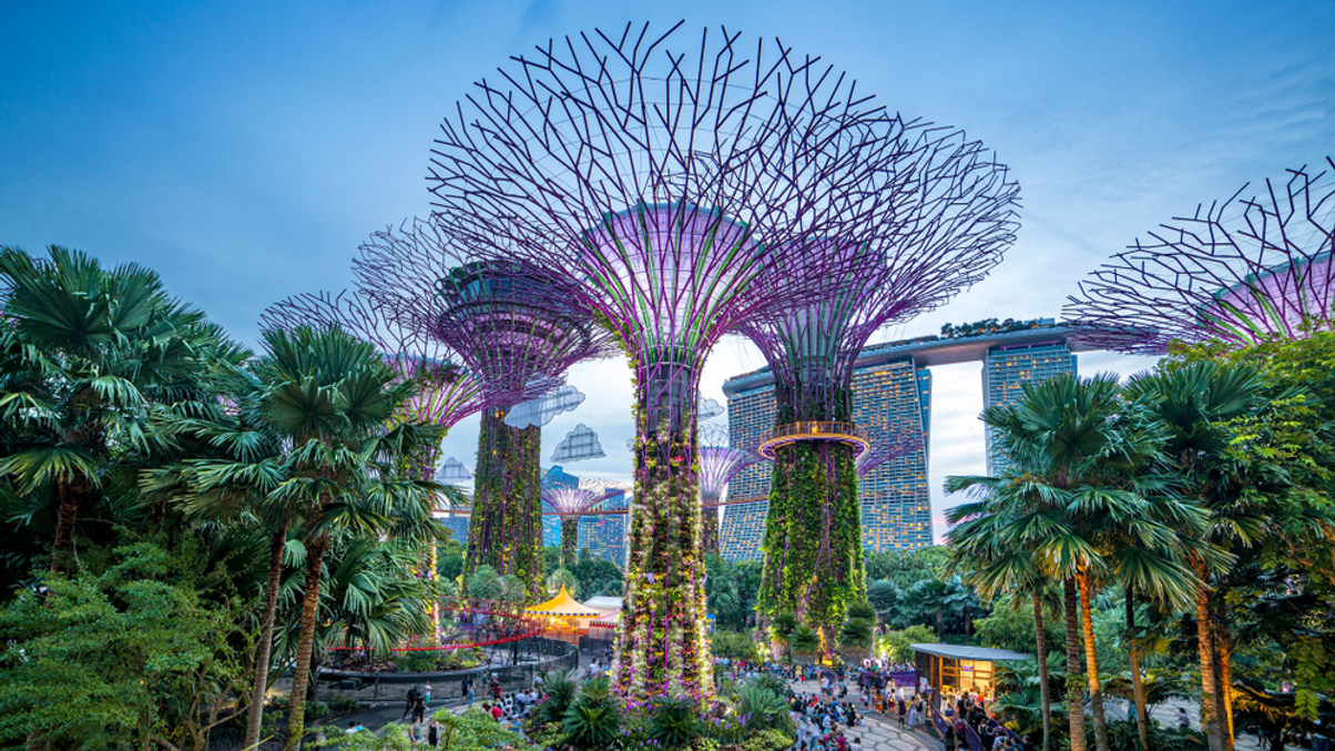 Family offices in Singapore seek to extract the greenwashing from impact investing