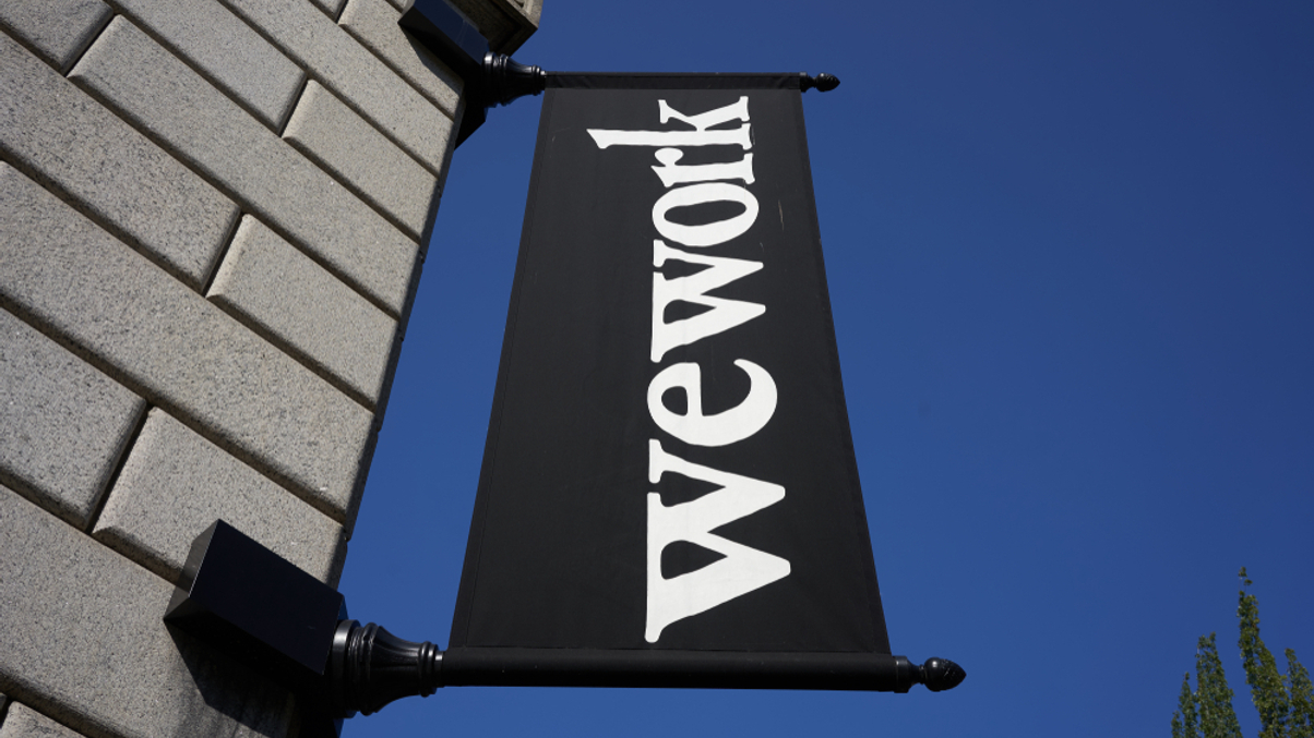 Family offices survey Wework wreckage
